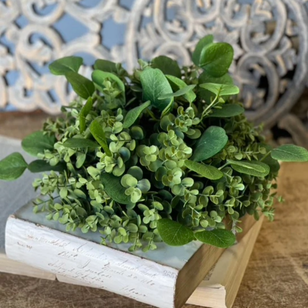 Green potted plant on a white surface with a decorative metal chair in the background