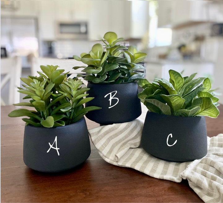 Black Potted Succulents