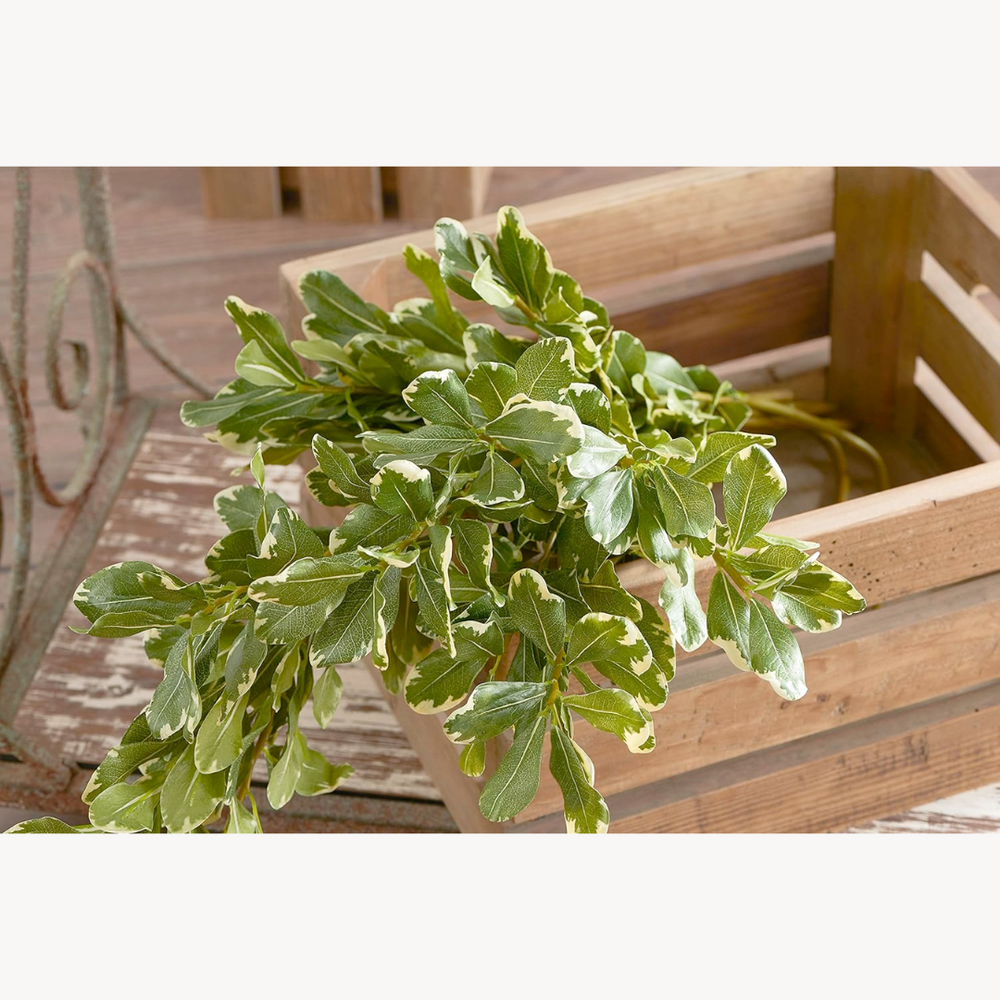 Artificial Pittosporum Leaf Stem in a wooden basket on a wooden surface, featuring lifelike green leaves.