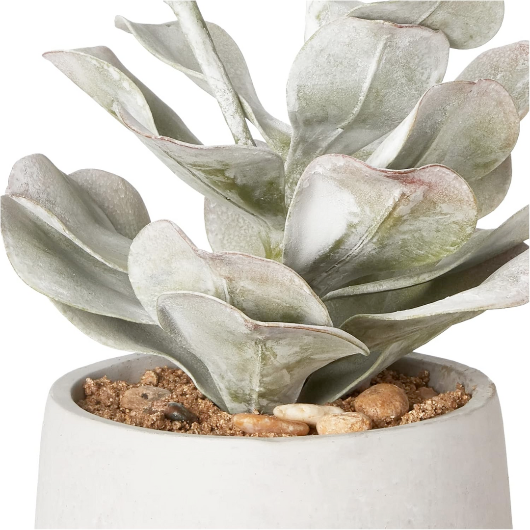 Faux Succulent in Gray Cement Pot