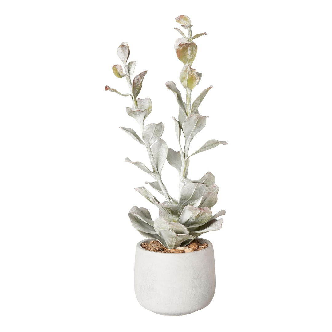 Faux Succulent in Gray Cement Pot