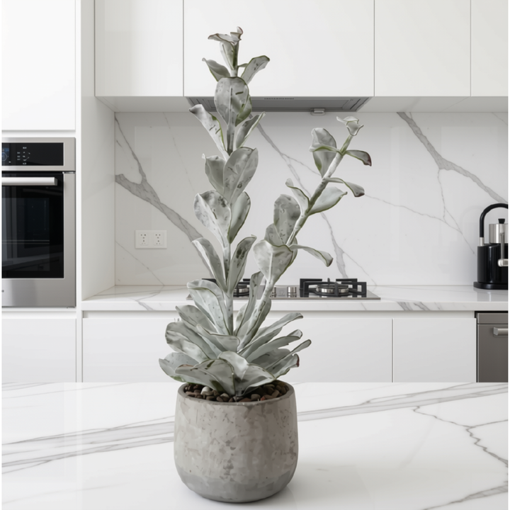 Faux Succulent in Gray Cement Pot