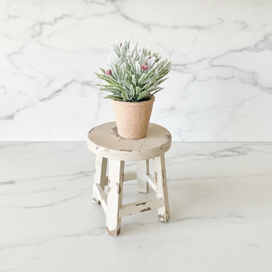 A small potted frosted green plant in a beige pot, displayed on a distressed white wooden stool against a white marble background.