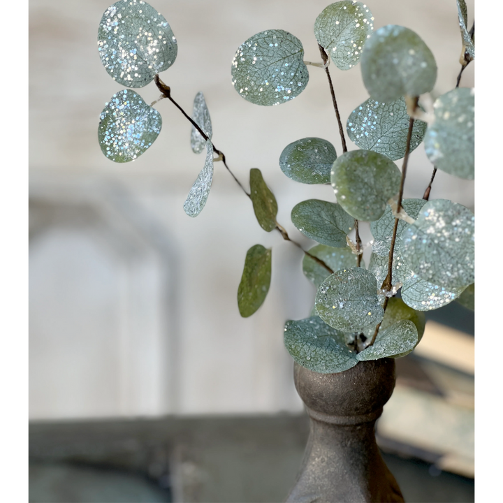 Set/5 Crisp Air Frosted Eucalyptus Picks