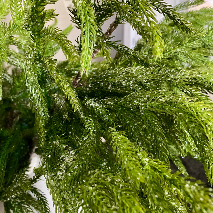 Natural Touch Glittered Norfolk Pine Spray