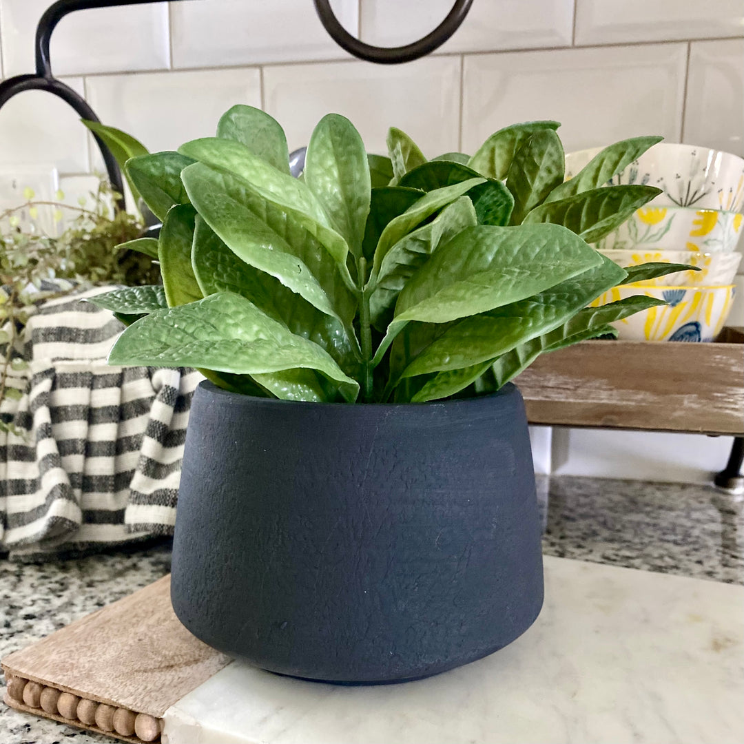 Artificial Green potted succulent in a black pot on a marble surface with a blurred background
