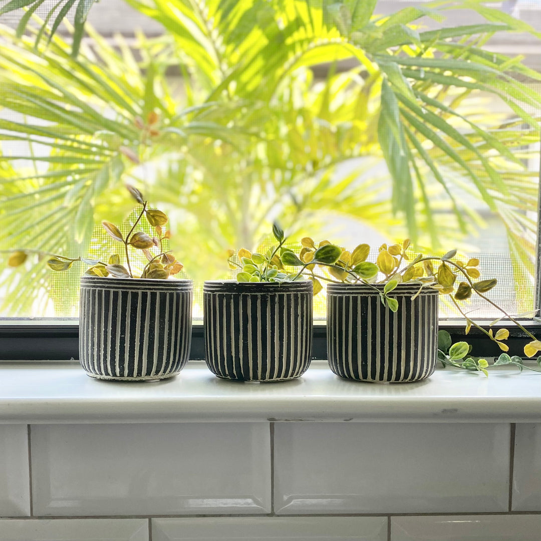 Set/3 Pinstriped Cement Planters