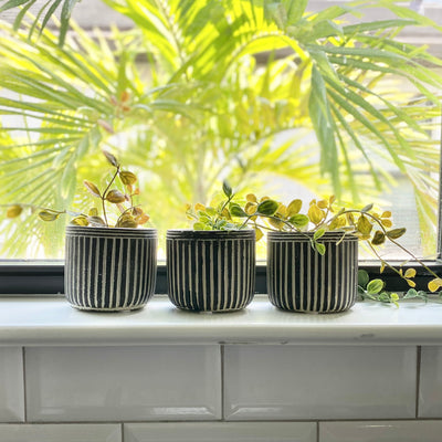 S/3 Pinstriped Cement Planters