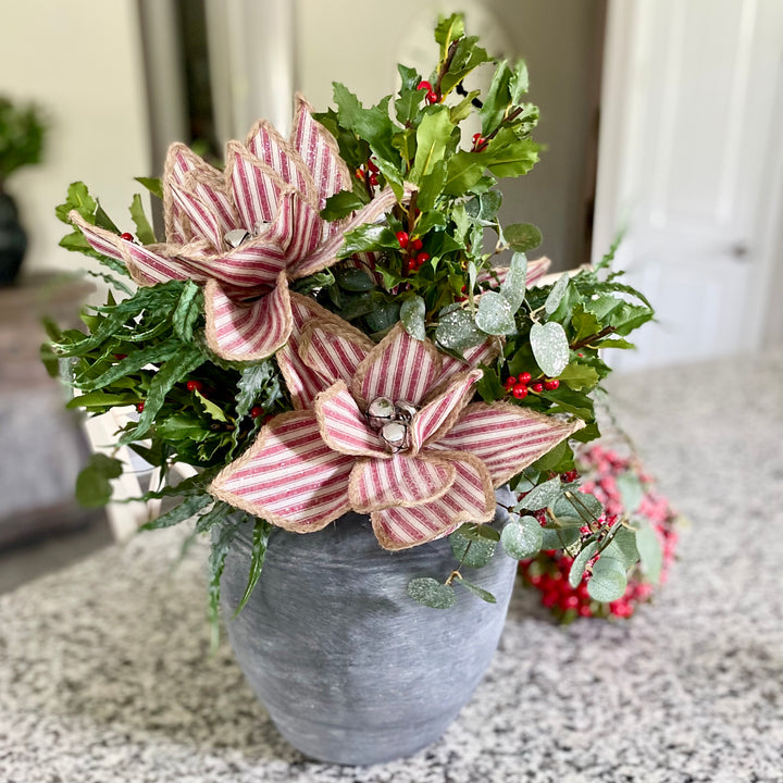 Red Ticking Stripe Poinsettia Stem