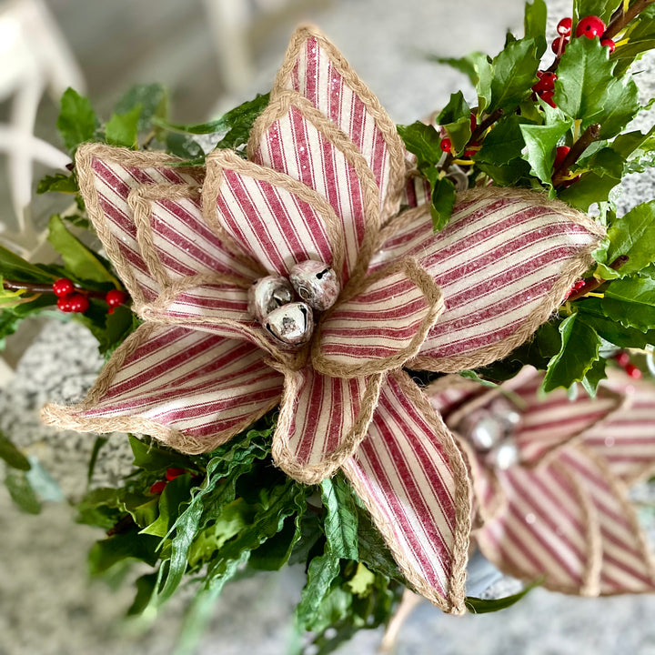 Red Ticking Stripe Poinsettia Stem