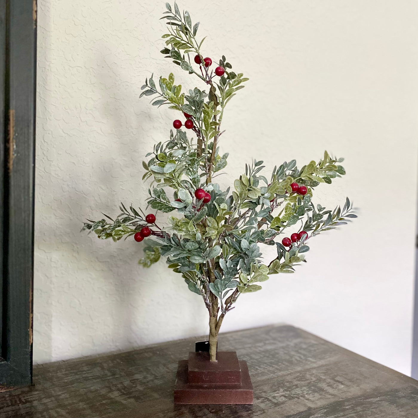 Boxwood Tree With Red Berries