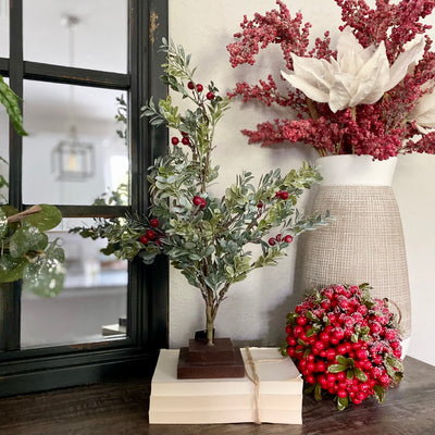 Boxwood Tree With Red Berries