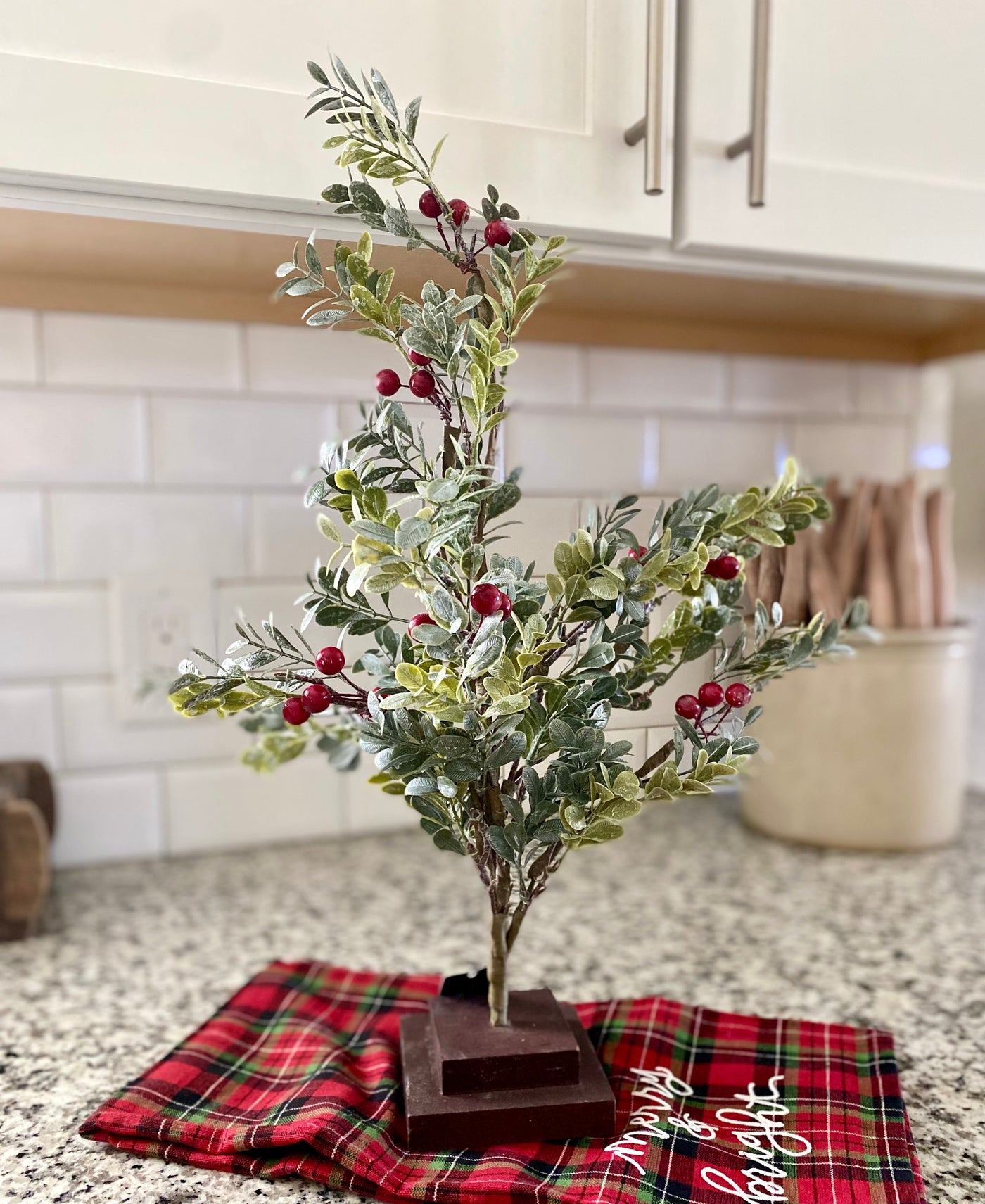 Boxwood Tree With Red Berries