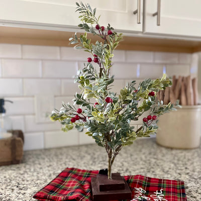 Boxwood Tree With Red Berries