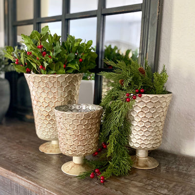 Alpine Berries Draping Vine