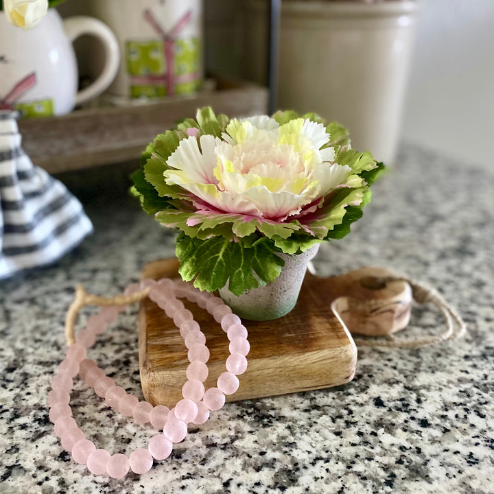 Pink Potted Cabbage