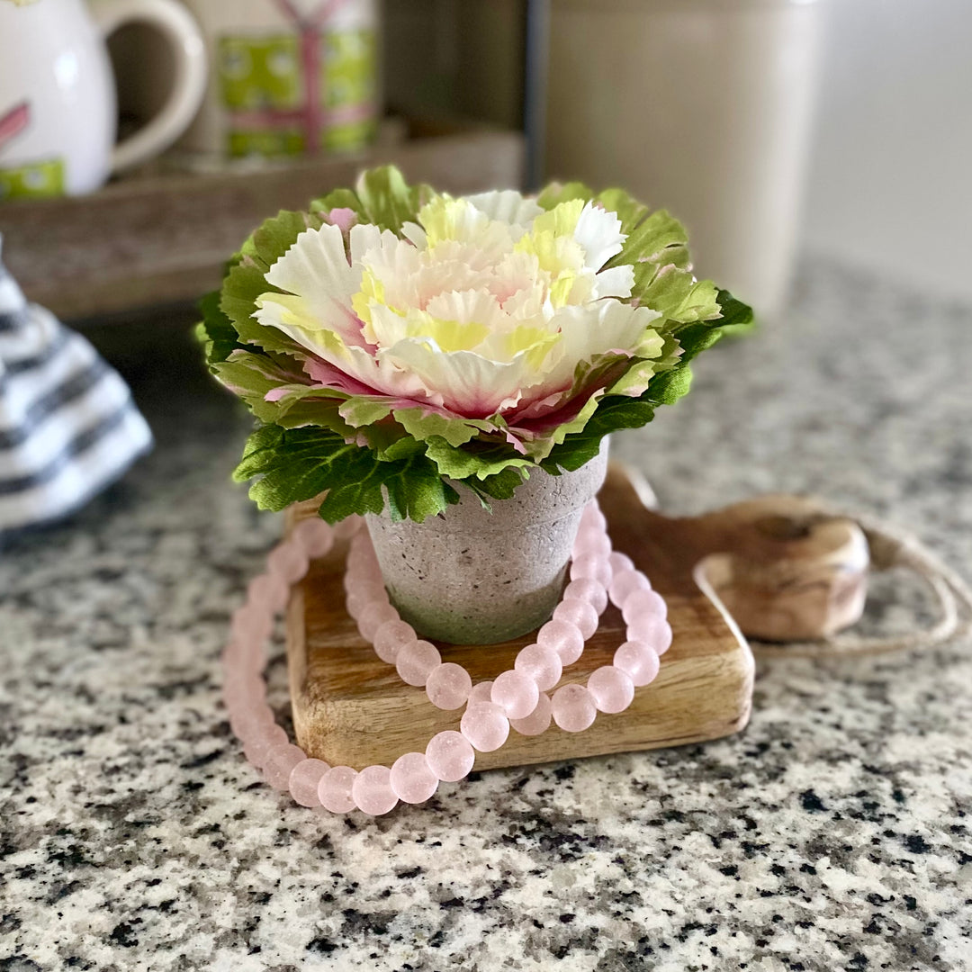 Pink Potted Cabbage