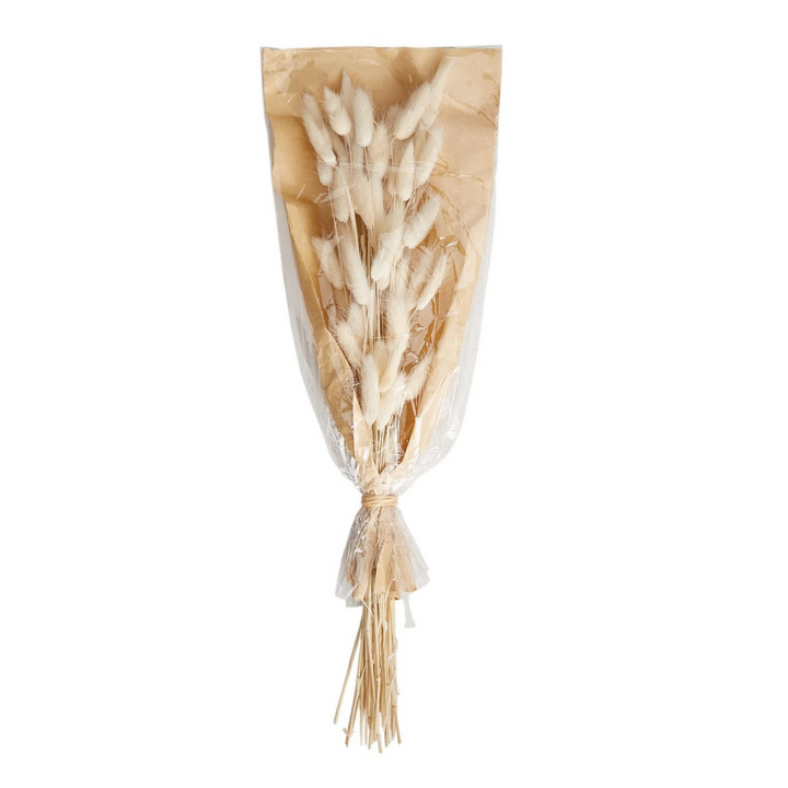 Organic Lagrus Grass Bundle (Bunny Tail)
