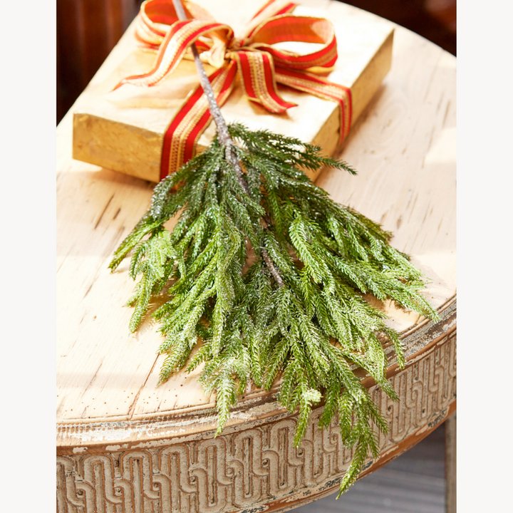 Natural Touch Glittered Norfolk Pine Spray