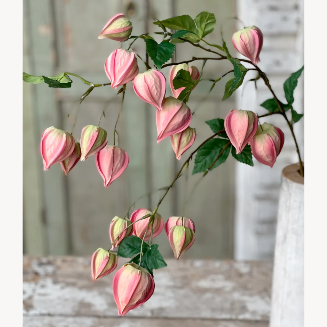 Set/3 Pink Lamplighter Buds