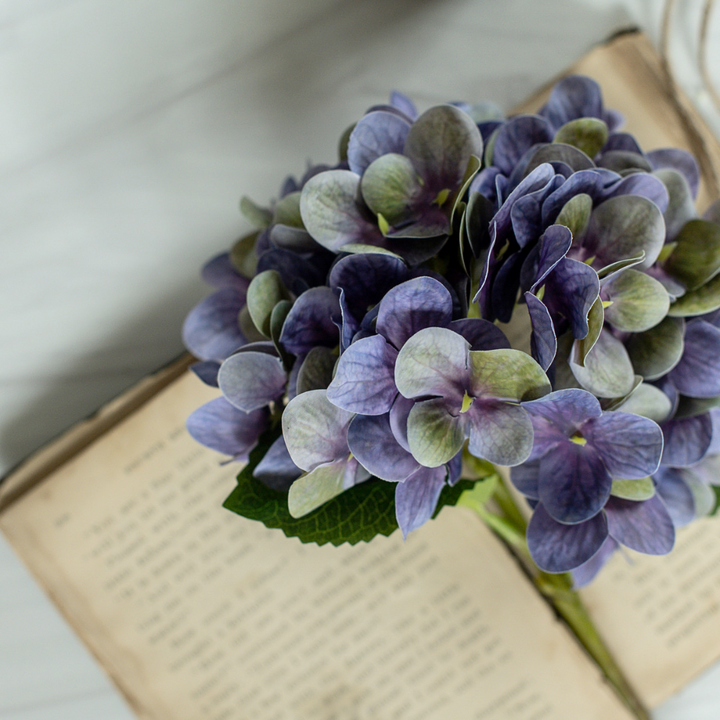 Violet Haze Hydrangea Stem