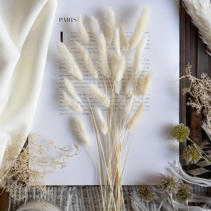 Dried pampas grass on an open book with a decorative frame.