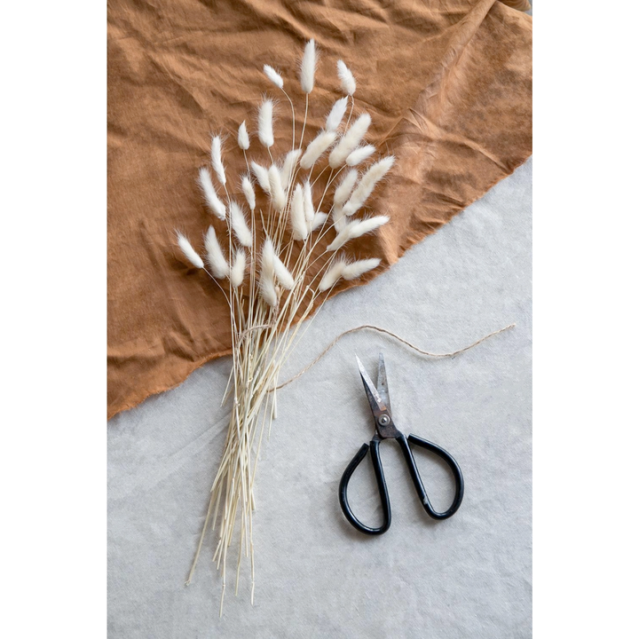 Bouquet of dried white grasses with scissors on a textured surface