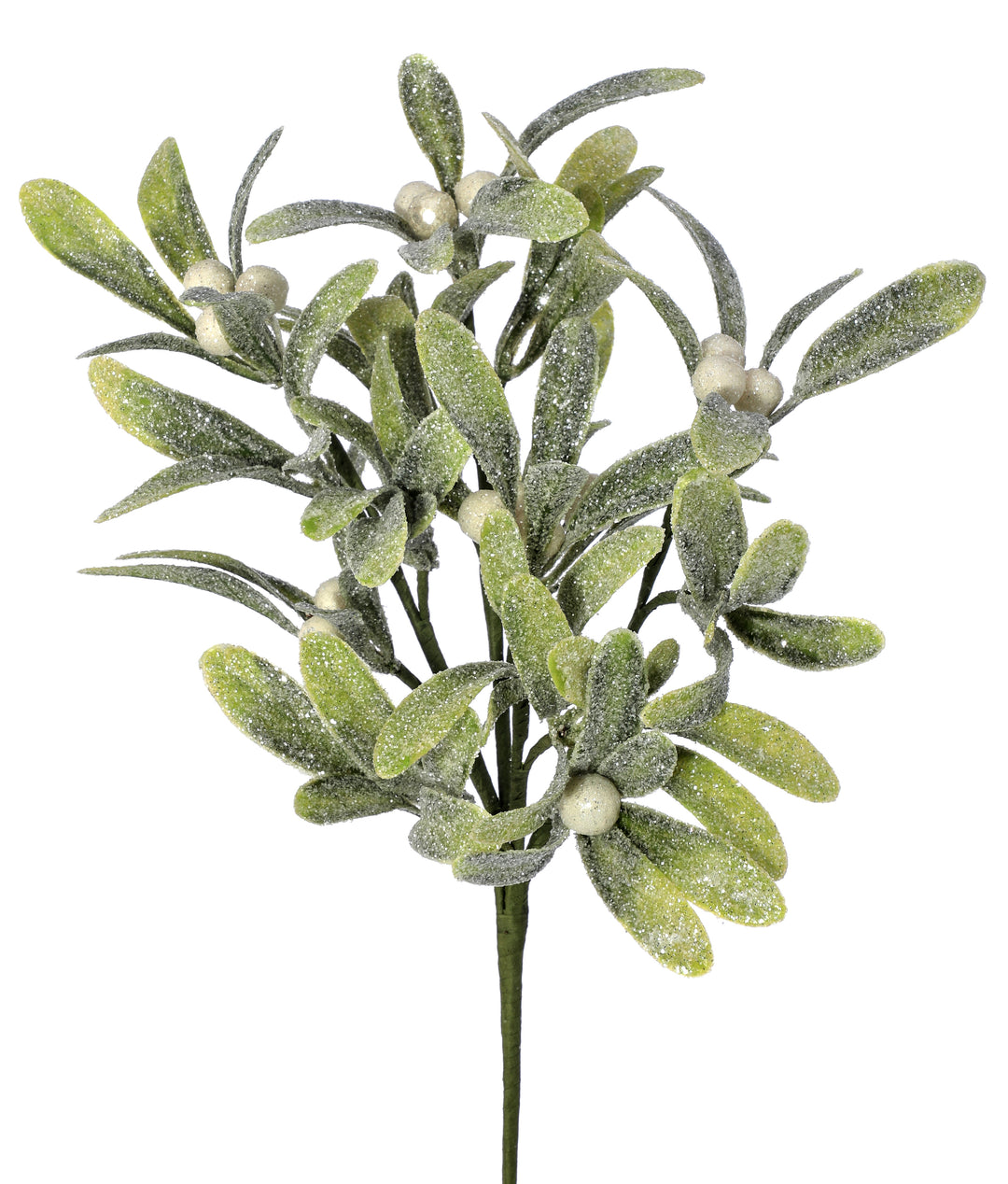 Frosted Mistletoe Berry Pick