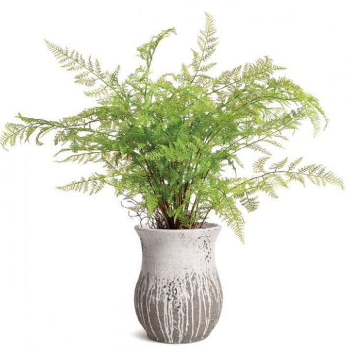 A handcrafted gray and white cement vase with a raw clay texture, containing a green fern plant.