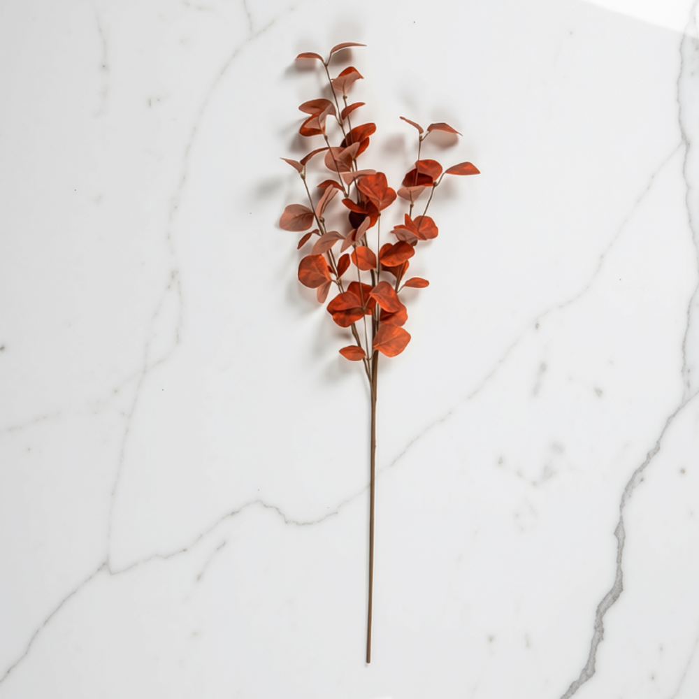 A single stem of an Orange Eucalyptus Leaf Spray on a white marble surface.