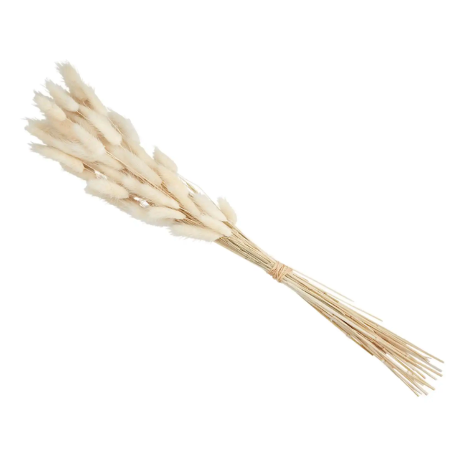 Organic Lagrus Grass Bundle (Bunny Tail)