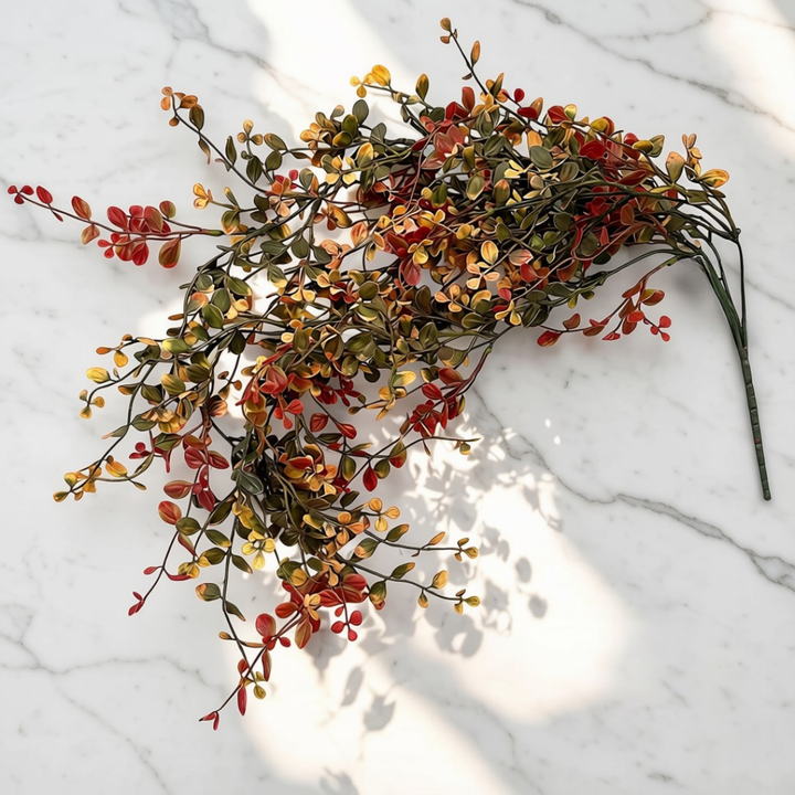 Pimpernel Hanging Vine