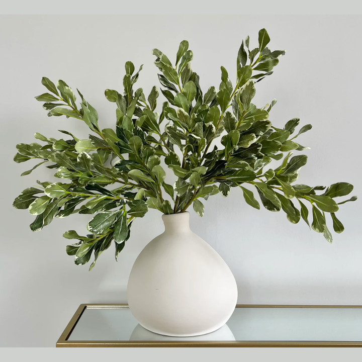 Green leafy branches in a white vase on a reflective surface with a light gray background