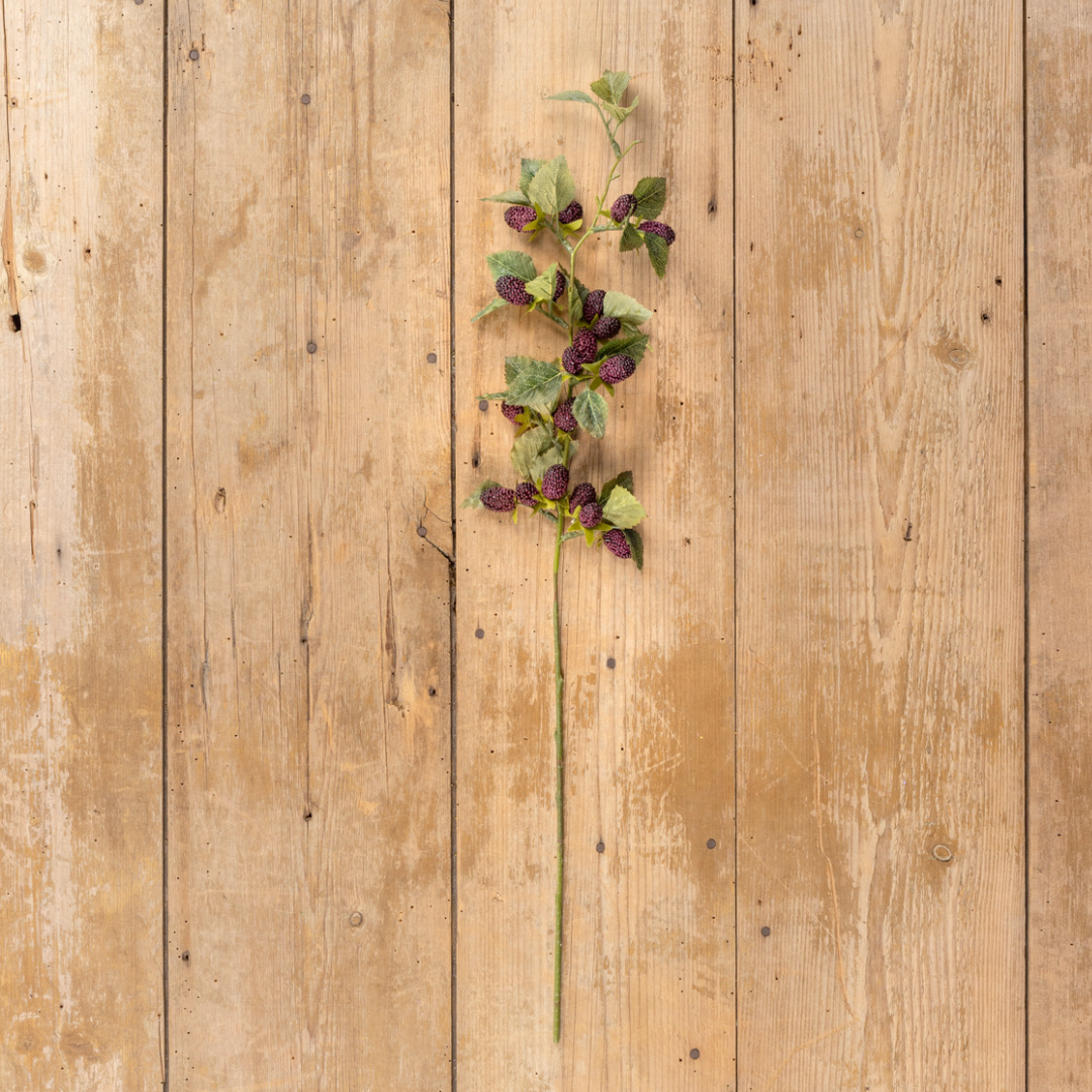 Mulberry Stem