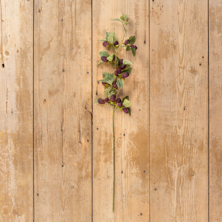 Mulberry Stem