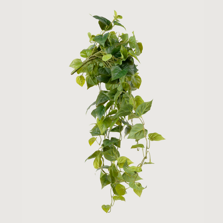 Artificial hanging green plant on a light gray background