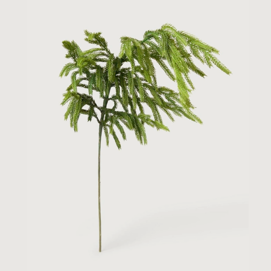 Artificial green Norfolk stem on a white background