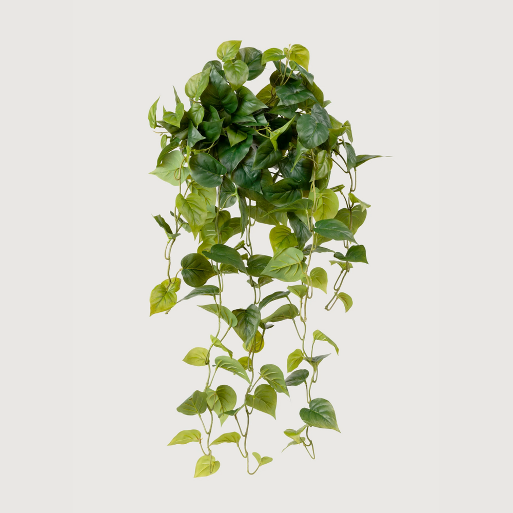 Artificial hanging plant on a white background