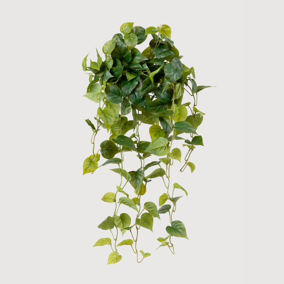 Artificial hanging plant on a white background