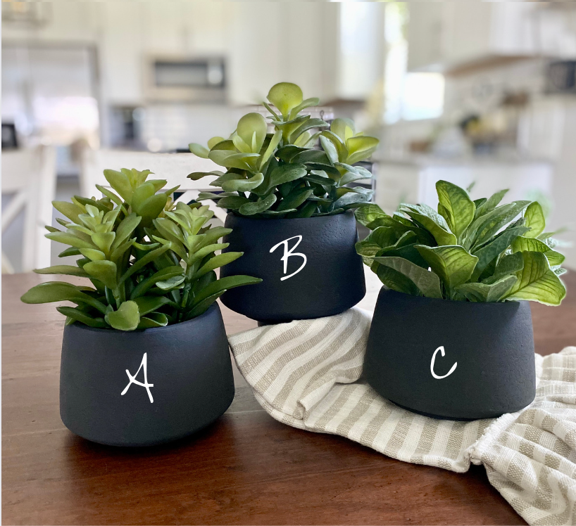 Black Potted Succulents