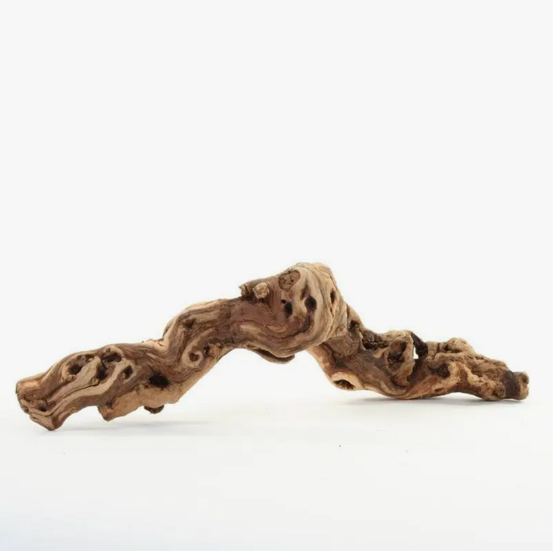 Dried Grapewood Branch