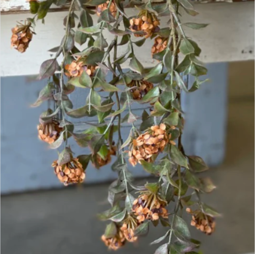 Pumpkin Late Bloomer Hanging Vine