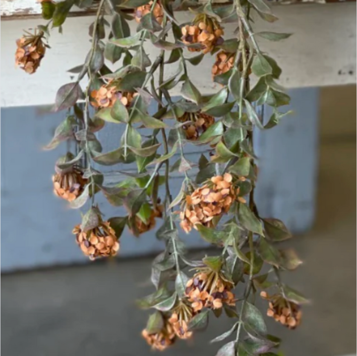 Pumpkin Late Bloomer Hanging Vine