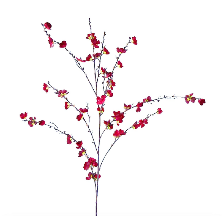 Red Cherry Blossom Stem