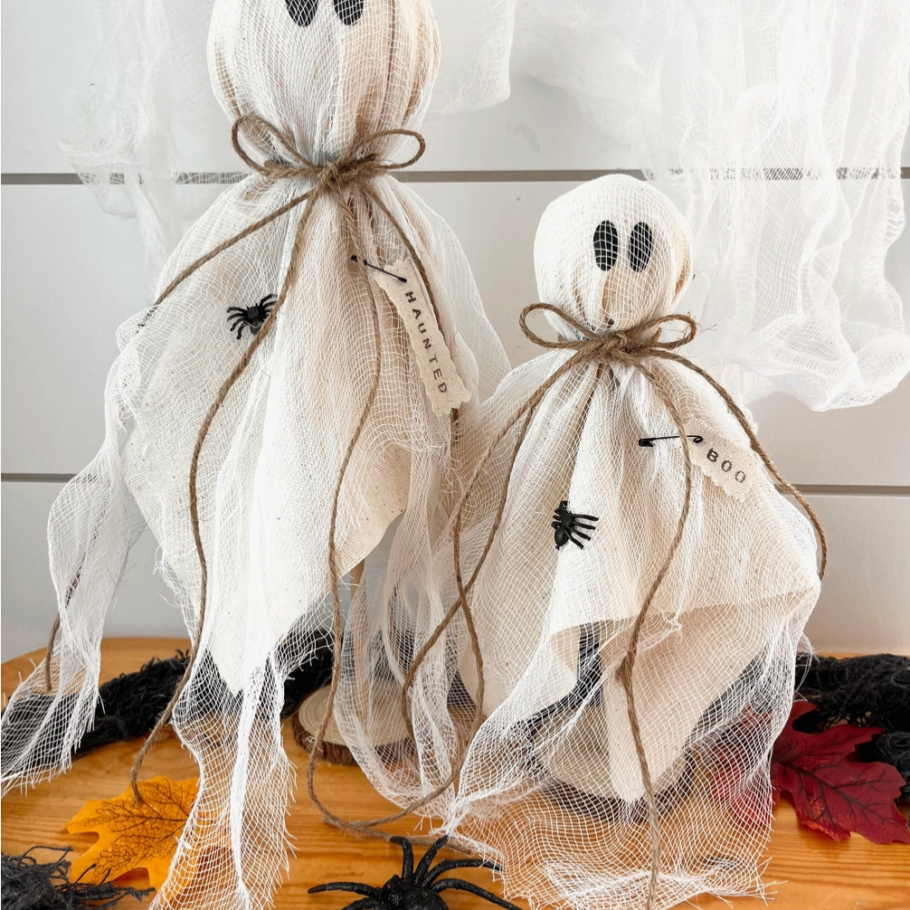 Primitive Ghosts