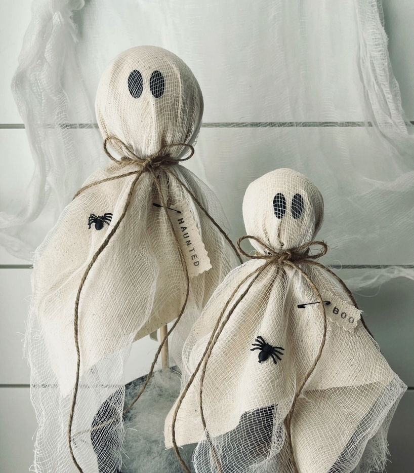 Primitive Ghosts