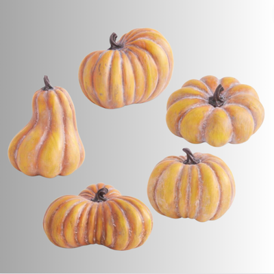 S/5 Orange Resin Pumpkins