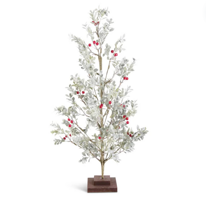 Powdered Boxwood Tree With Red Berries