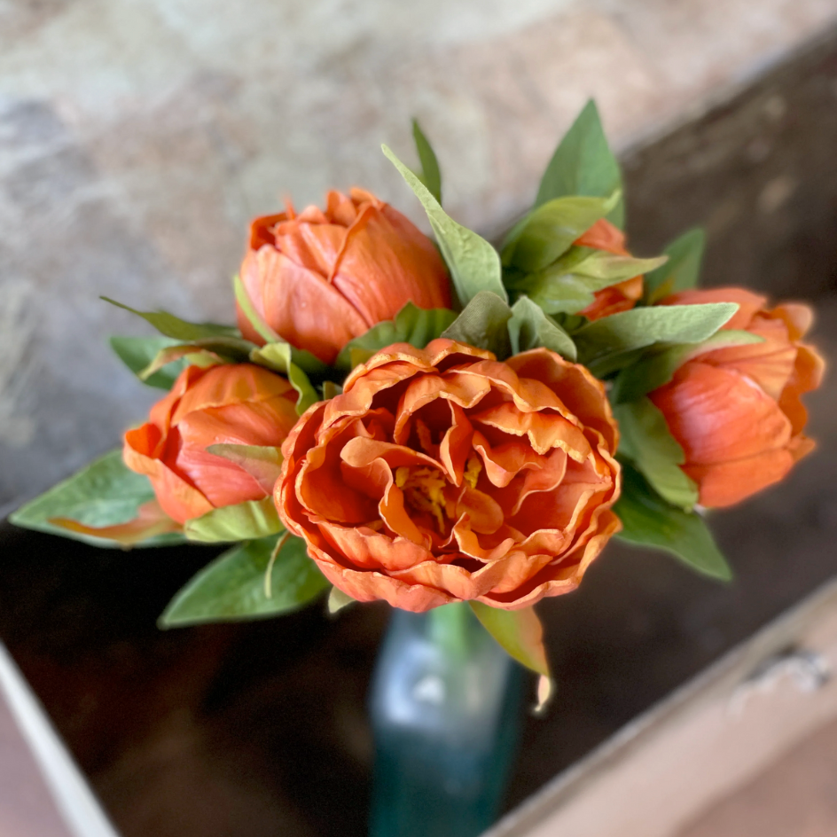 Persimmon Peony Bundle