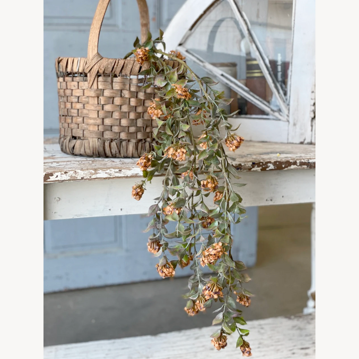 Pumpkin Late Bloomer Hanging Vine